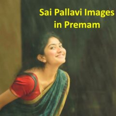 Sai Pallavi Premam Images Download