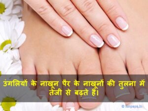 15 – latest facts in hindi