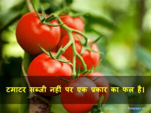 3 – amazing facts in hindi