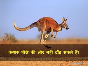 4 – amazing facts in hindi