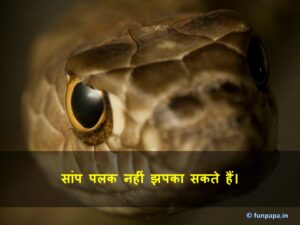 40 – हैरान कर देने वाले रोचक तथ्य 40 – हैरान कर देने वाले रोचक तथ्य