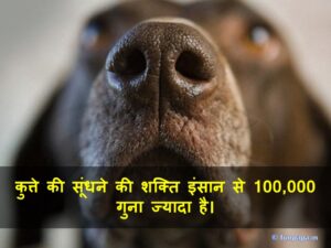 6 – amazing facts in hindi