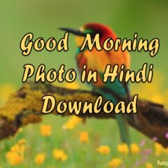 71 सुप्रभात और गुड मॉर्निंग फोटो डाउनलोड फॉर व्हाट्सएप्प | Good Morning Image in Hindi Download