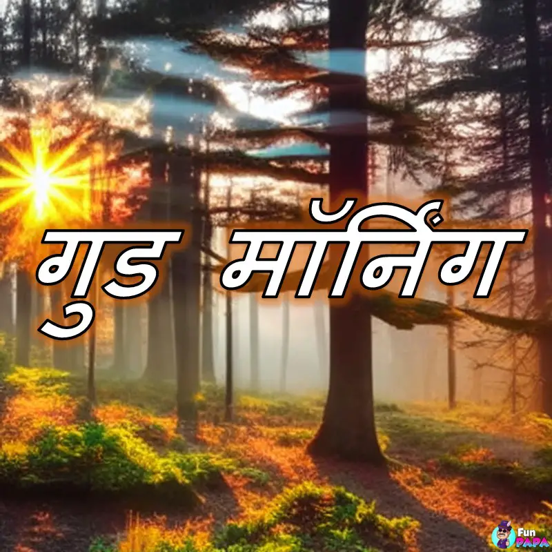 good morning photo in hindi